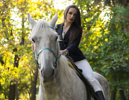 Young brunette beauty girl having fun with horse in the parkの写真素材