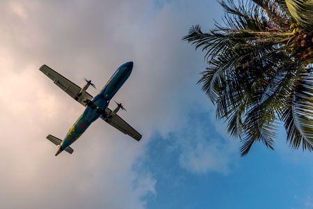 Small Passengers Plane above Palm Trees. Holidays conceptの写真素材