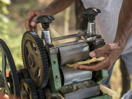 Hand of man squeezing juice from sugar cane. Using manual Mechanism for thatの写真素材