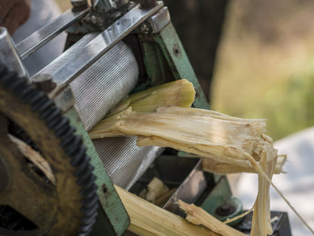 Squeezing juice from sugar cane. Using manual Mechanism for thatの写真素材