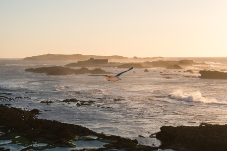 Sunset Over the Rocks of Atlantic Ocean in Moroccoの写真素材
