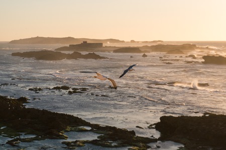 Sunset Over the Rocks of Atlantic Ocean in Moroccoの写真素材