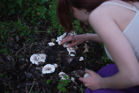 Young Beautiful Attractive woman in Purple Skirt in the forest with a mushroom at Mysterious Twilightの写真素材