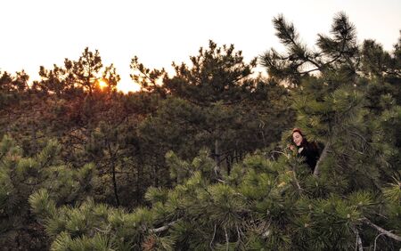 Active sporty redhead girl climbed up on the top of pine tree. Aerial lifestyle shot of young woman...