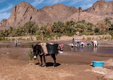 OURZAZATE, MOROCCO - JAN 2019: Berber women wash clothes in the river in beautiful picturesque place Oasis de Fint. Water day poor Moroccan tribesのeditorial素材