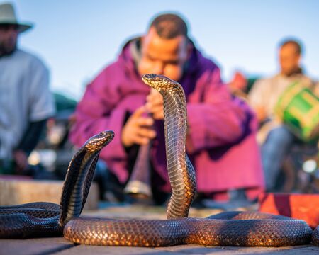 MARRAKESH, MOROCCO - 15 JAN 2019: Snake charmer at the Jemaa el-Fnaa square in Marrakesh, Moroccoのeditorial素材