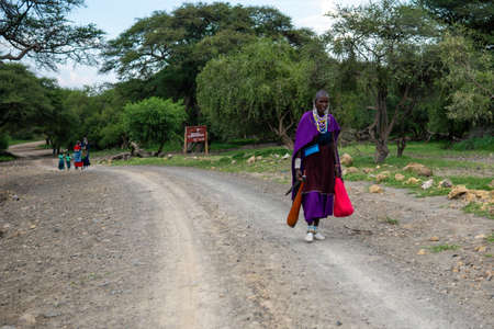 TANZANIA, EAST AFRICA - JANUARY 2020: Masai Woman in traditional clothes and weapons are walking in the savannah by the Gravel Road Surrounded with Green acacia Treesのeditorial素材