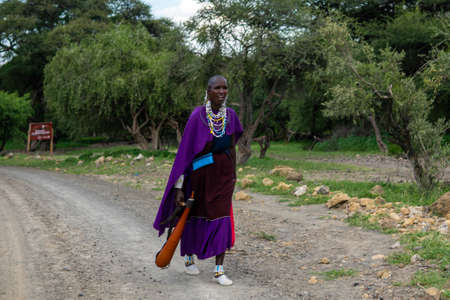 TANZANIA, EAST AFRICA - JANUARY 2020: Masai Woman in traditional clothes and weapons are walking in the savannah by the Gravel Road Surrounded with Green acacia Treesのeditorial素材