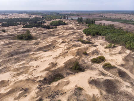Aerial Drone Shot in The largest desert in Europe, Ukraine - Oleshky Sands with Some bushes and Pine trees. Plants in the desert, a lot of yellow sandの写真素材