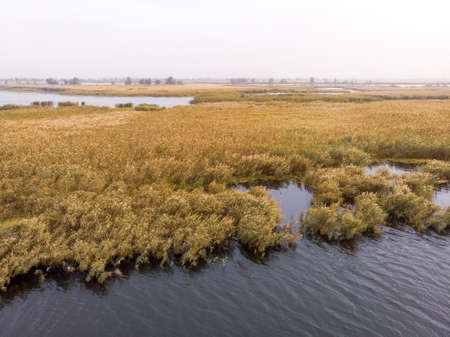 Aerial Shot of the Misty Autumn Floodplains of the Dnieper River with Reed islands in the river
