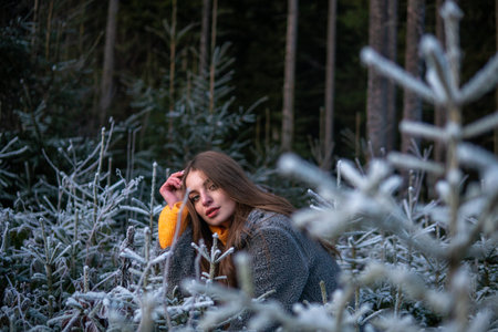 Portrait of Pretty Caucasian girl in Orange sweater Near a small Fir tree Covered with Frost at...