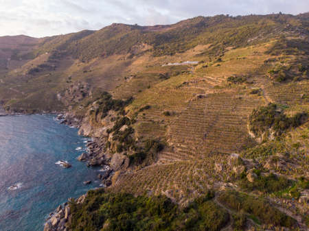 Aerial View on Banana Plantations Terraces on the Slopes of Mountains At Mediterranean Near the ancient city Antiochia ad Cragum near Gazipasa, Antalya, Turkeyの写真素材