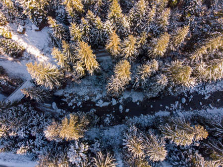 Aerial view of snowy pine trees and a little meandering stream in Carpathians, Ukraineの写真素材