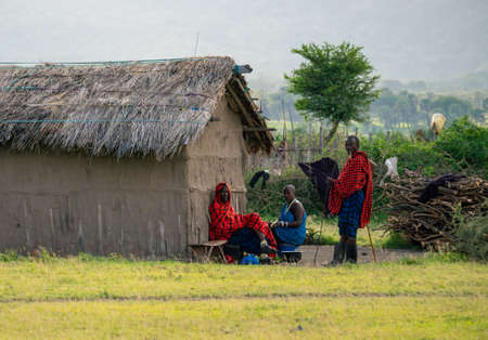 Arusha, Tanzania, January 2020: maasai People in their Village Typical Tribal lifestyleのeditorial素材