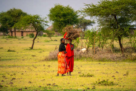 Arusha, Tanzania, January 2020: maasai People in their Village Typical Tribal lifestyleのeditorial素材