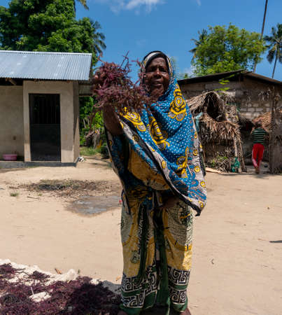 Pemba Island, Zanzibar, Tanzania - Kanuary 2020: Black Indigenous African People are walking around Pink seaweed - algae, being dried on the Ground in Small Villageのeditorial素材