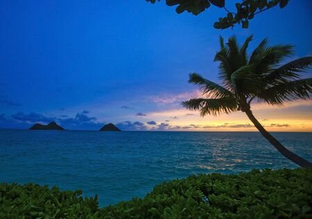 pacific sunrise with islands and palm tree in Hawaiiの写真素材