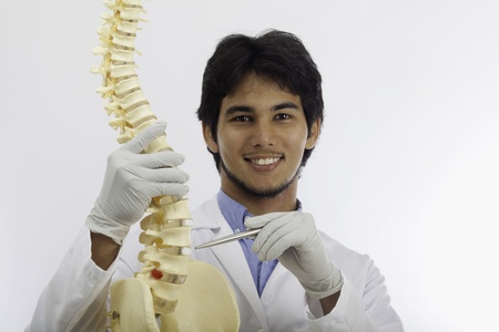 chiropractic doctor with a human spineの写真素材