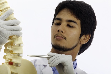 chiropractic doctor with a human spineの写真素材