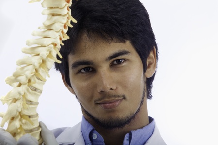 chiropractic doctor with a human spineの写真素材