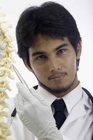 chiropractic doctor with a human spineの写真素材