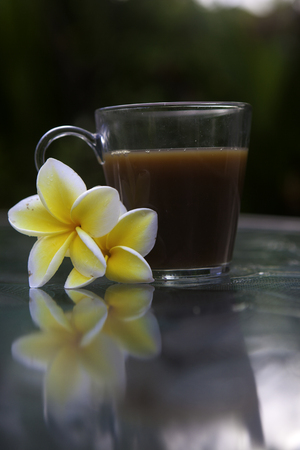 cup of coffee with plumeria blossomsの写真素材