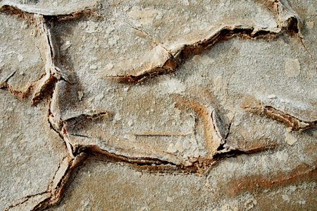 salted soil structure
