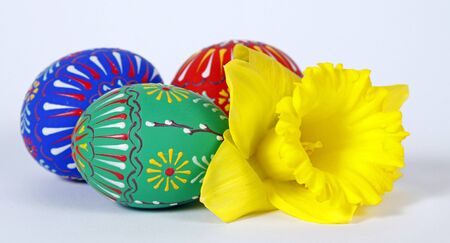 The Easter eggs and yellow narcissus