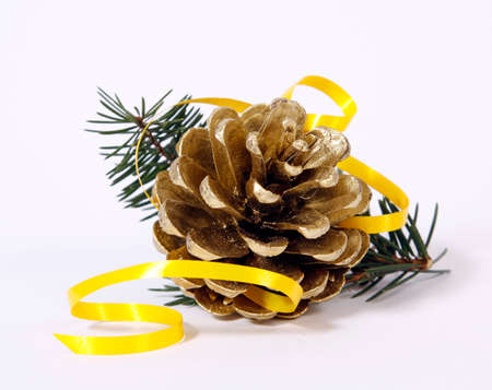 Cone on twigs of the spruceの写真素材