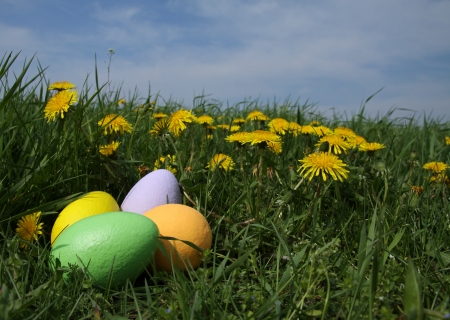 The Easter painted eggs on the grassの写真素材