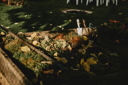 Garden scoops in garden compost with fallen leaves on it