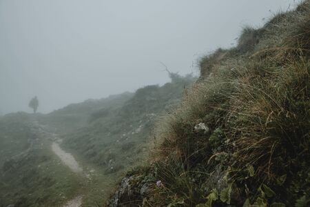 Detail of the water drops on the mountain grass after the heavy rain in Triglav national park in Slovenia during the foggy summer day with the silhouette of mountain hiker in the background on horizonの写真素材