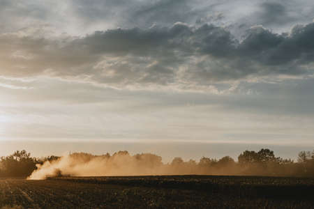 Small silhouette of combine harvester hidden in the clouds of dust in the distance  moving to the right, who is harvesting the crop of oilseed rape during golden hour in summer under the cloudy skyの写真素材
