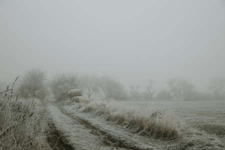 Dirty road and straw bales in the distance in tall grass next to the field during the freezing foggy morningの写真素材