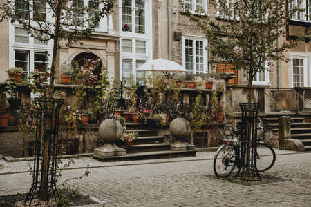 Traditional terrace in front of the old house with lots of flowers in the historical center of the polish city Gdansk with bicycle leaning against a treeの写真素材