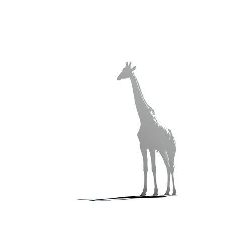 Giraffe silhouette isolated on white background. 3d rendering.の写真素材