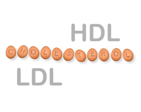 Chicken eggs on the white background. Eggs are one of the most nutritious and versatile foods in the world.の写真素材