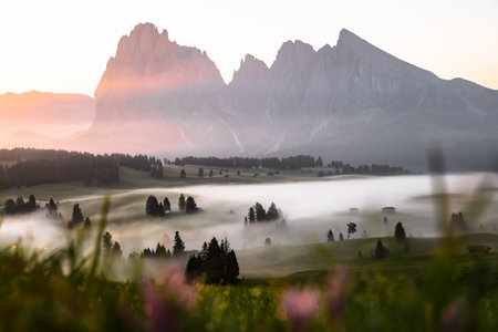 Misty landscape view in Alpe di Siusi or Seiser Almの写真素材