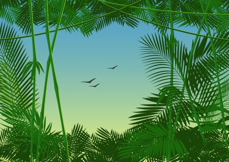 vector jungle forestのイラスト素材