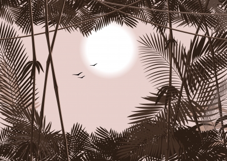 jungle forest  Vectorのイラスト素材