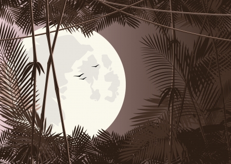 vector jungle forest in moon nightのイラスト素材