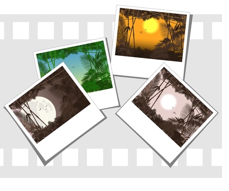 vector illustration of some photos depicting jungle forestのイラスト素材