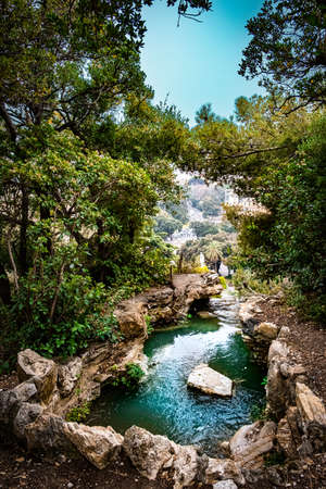 A small lake in a park in Italy.の写真素材