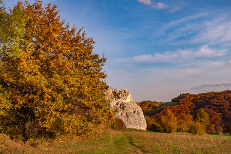 Autumn view of the forest with limestone rocksの写真素材