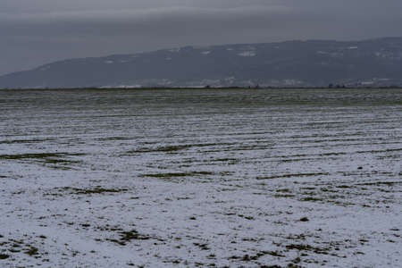 Farmland in late winter, covered with remnant snow with trees in the backgroundの写真素材
