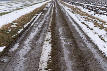 Mud field road running through snowy fields in late winterの写真素材