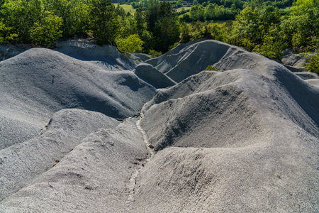 A beautiful wonder of nature - the Istrian desert, with trees in the background and the beautiful...