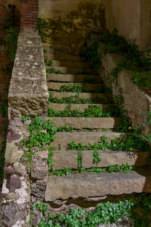 Very old, damaged stone stairs overgrown with plantsの写真素材