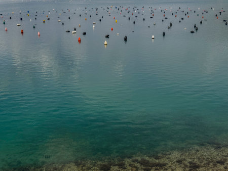 Surface marked storage area for wine bottles on the seabedの写真素材