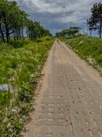 A concrete road on a sandy area leading to the beachの写真素材